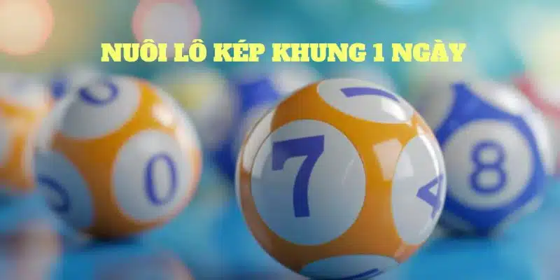 Hướng nuôi lô khung 1 ngày hiệu quả